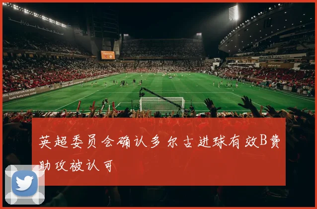 英超委员会确认多尔古进球有效B费助攻被认可